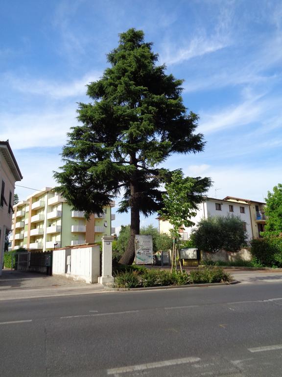 Apartmán Liz Beth Lucca Pokoj fotografie